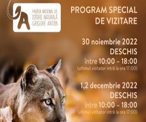 Programul special de vizitare al Muzeului Antipa in perioada 30 noiembrie - 4 decembrie 2022
